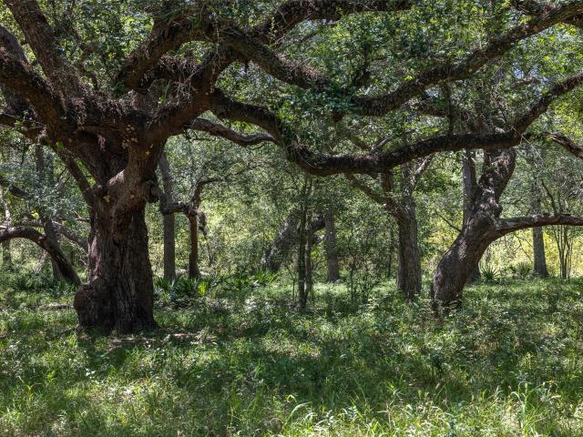 Farm for sale in Weimar, Texas