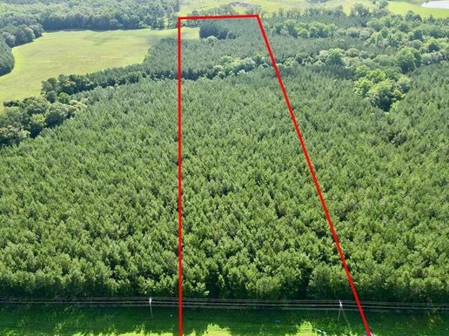 Land for sale in Brundidge, Alabama