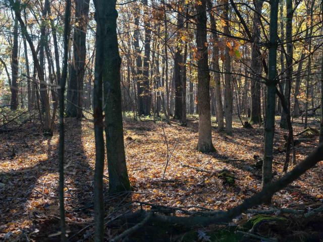 Land for sale in Tomah, Wisconsin