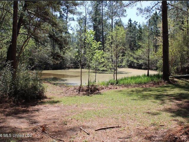 Property for sale in Poplarville, Mississippi