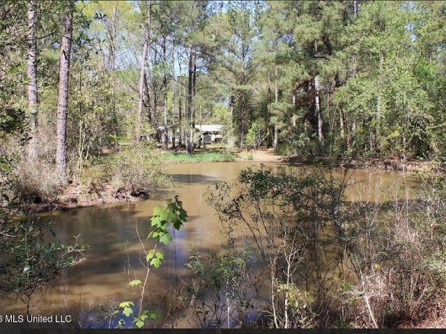 House for sale in Poplarville, Mississippi