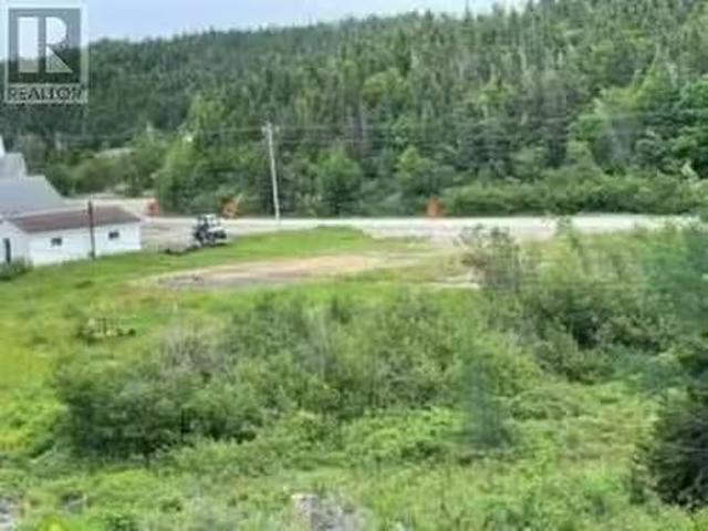 House for sale in Springdale, Newfoundland And Labrador