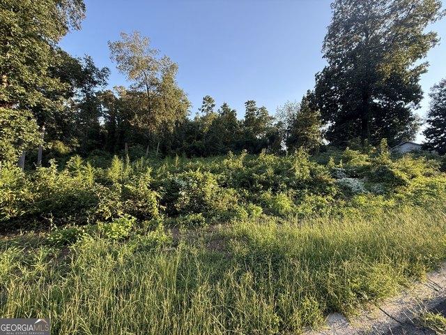 Land for sale in Kathleen, Georgia