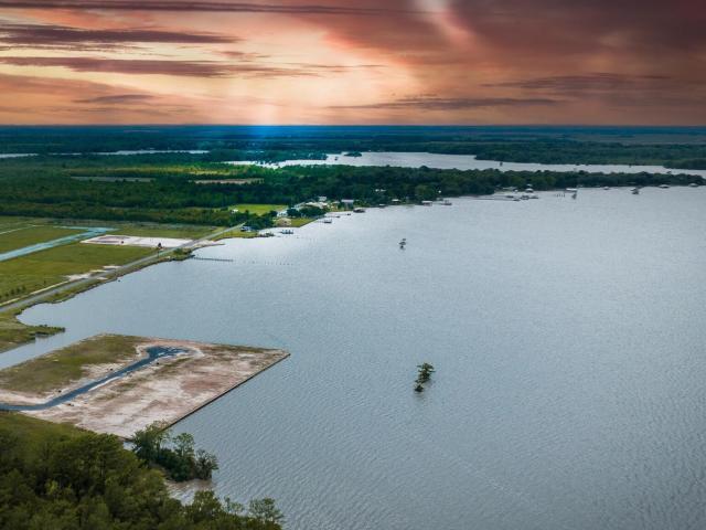 Land for sale in Gueydan, Louisiana
