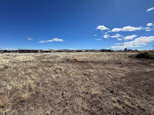 Land for sale in Fort Davis, Texas