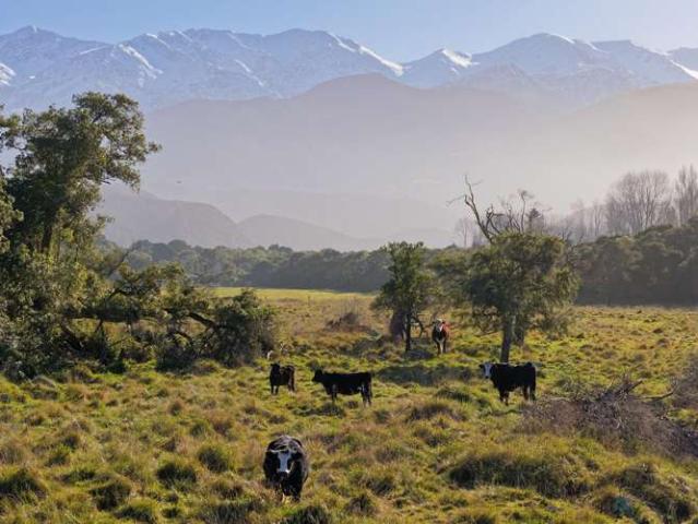 Property for sale in Marlborough
