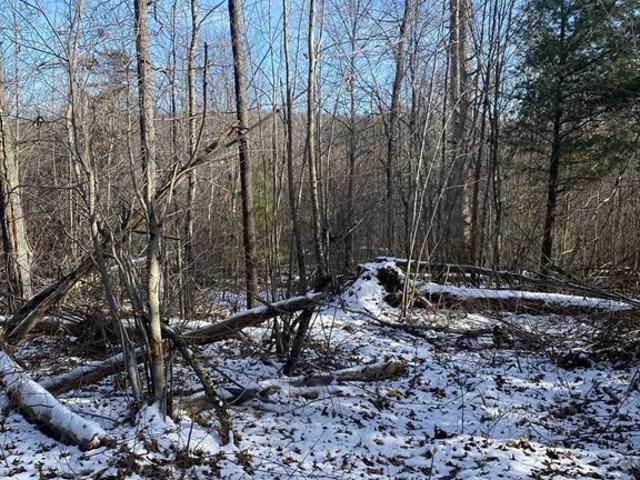 Land for sale in Hampden, Massachusetts