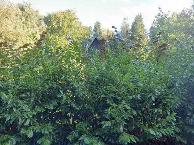 Lejlighed til salg i Brøndby