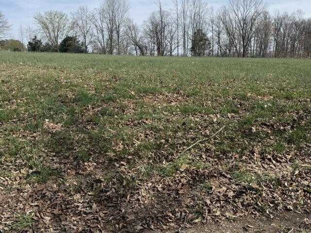 Land for sale in Tennessee