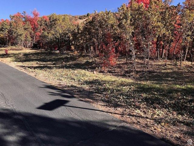 Land for sale in Springville, Utah