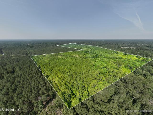 Land for sale in Seminary, Mississippi