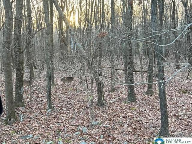 Land for sale in Carbon, Pennsylvania