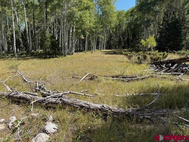 Land for sale in Gunnison, Colorado