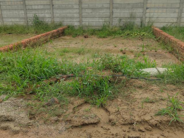 Land for sale in Jharli, Arunachal Pradesh
