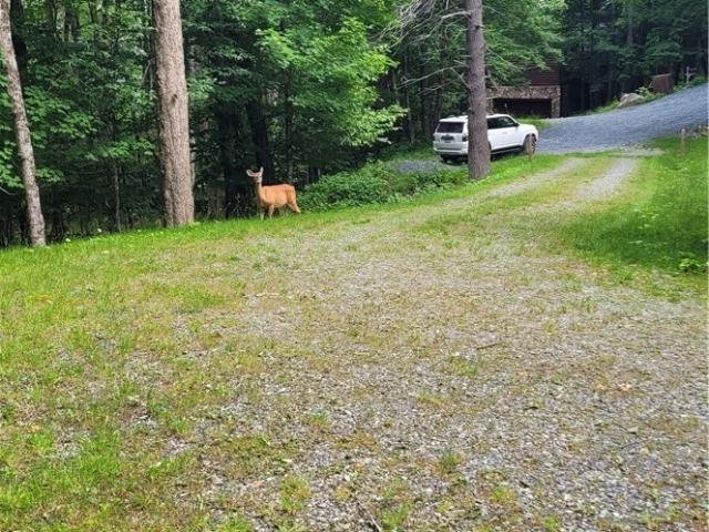 House for sale in Watauga, North Carolina