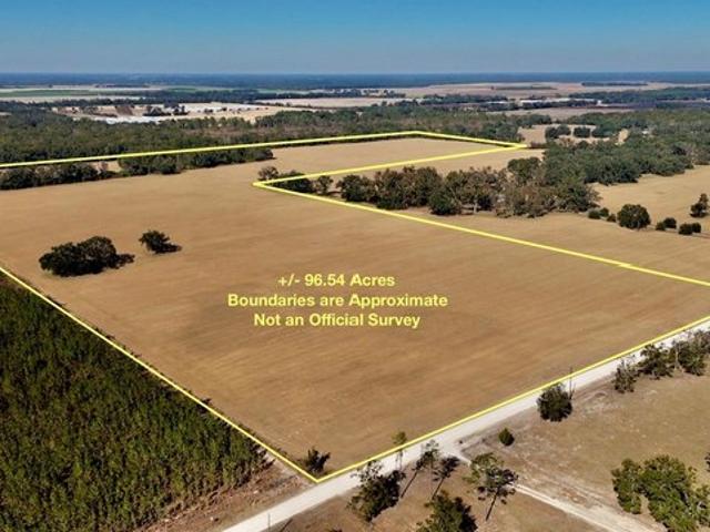 Land for sale in Suwannee, Florida