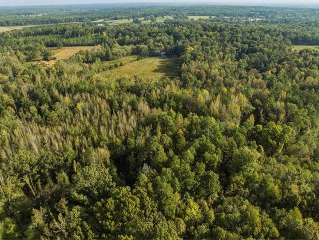 Land for sale in Middleton, West Tennessee