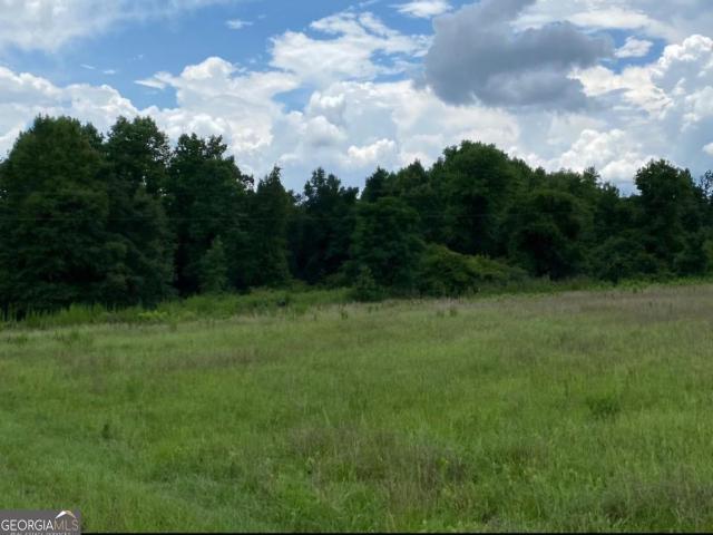 Land for sale in Oglethorpe, Georgia