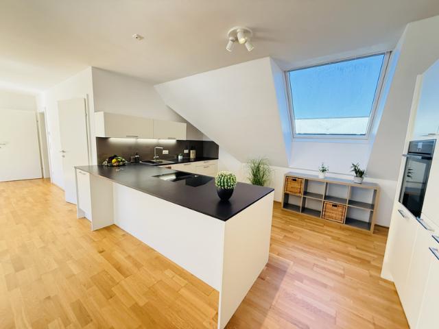 Haus mieten in Donaustadt, Wien