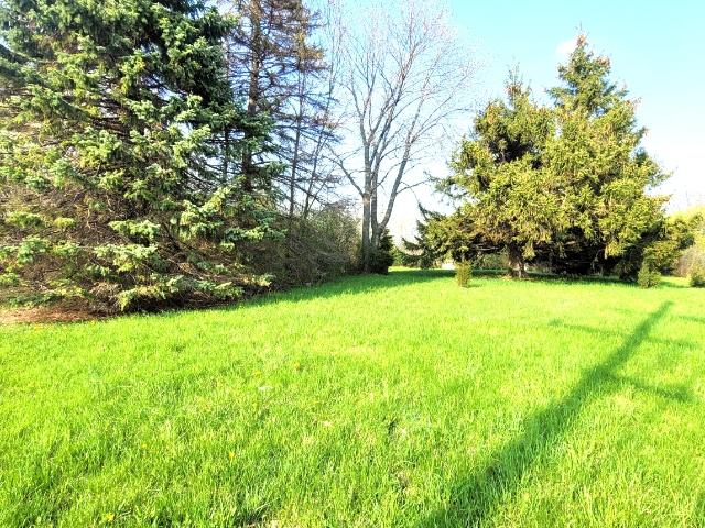 Land for sale in Illinois