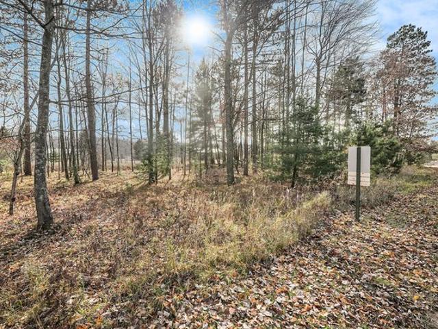 Land for sale in Stanwood, Michigan