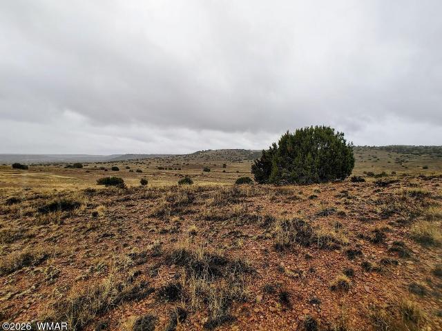 Land for sale in Navajo, Arizona