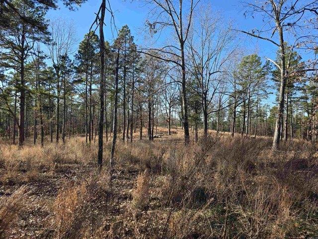 Land for sale in Ark