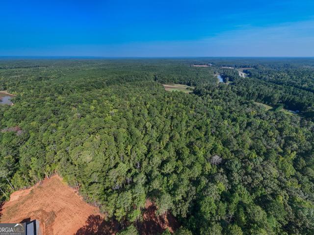 Land for sale in Franklin, Heard County