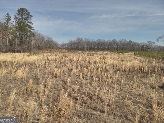 Land for sale in Jeffersonville, Georgia