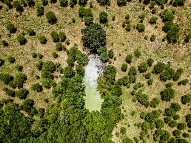 Land for sale in North Zulch, Texas