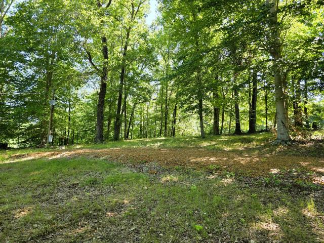 Land for sale in Tennessee