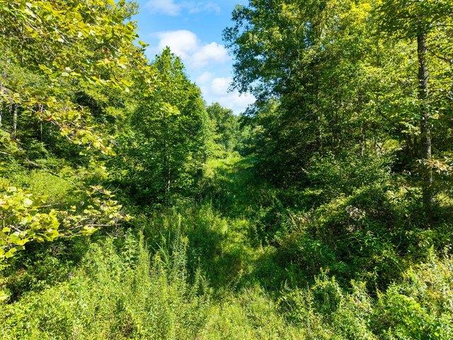 Land for sale in Beattyville, Lee County