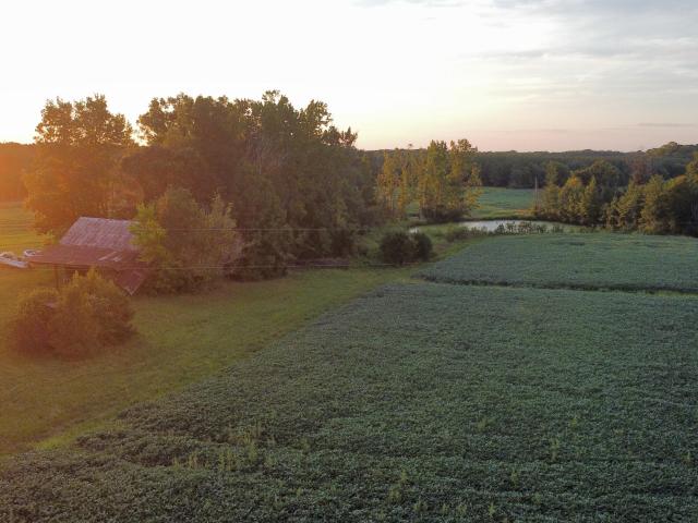 Land for sale in Roxboro, Person County