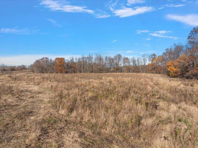 Land for sale in Michigan