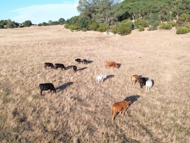 Land for sale in Burson, California
