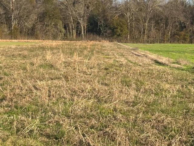 Land for sale in Erwinville, Louisiana