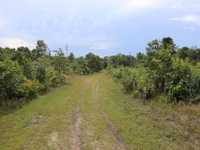 Land for sale in Wisconsin