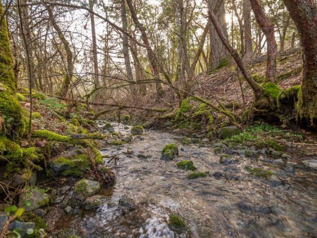 Land for sale in Grants Pass