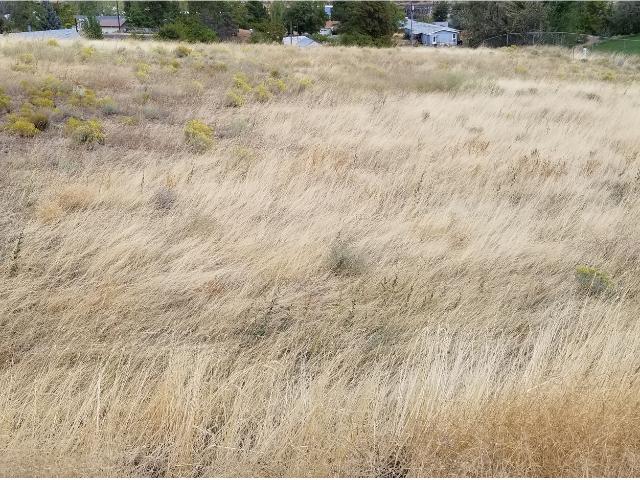 Land for sale in Oregonia