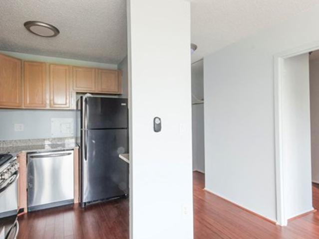 House for rent in Alexandria