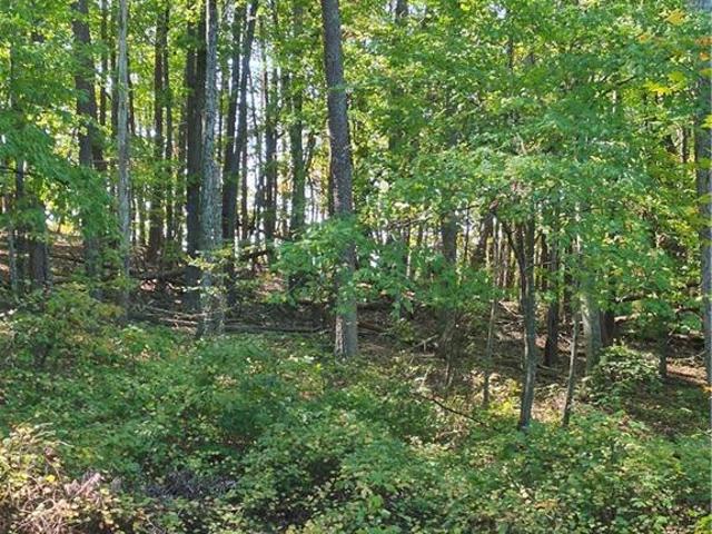 Land for sale in Pinnacle, Stokes County