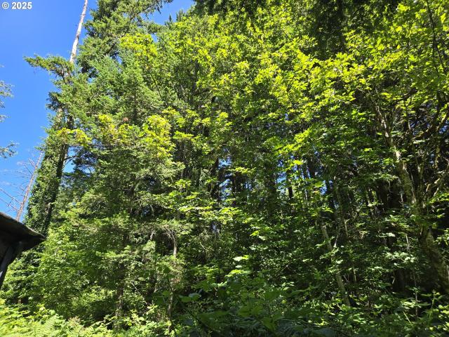 Land for sale in Stevenson, Washington