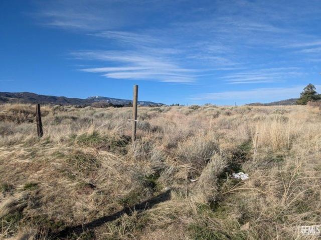 Land for sale in Tehachapi, California