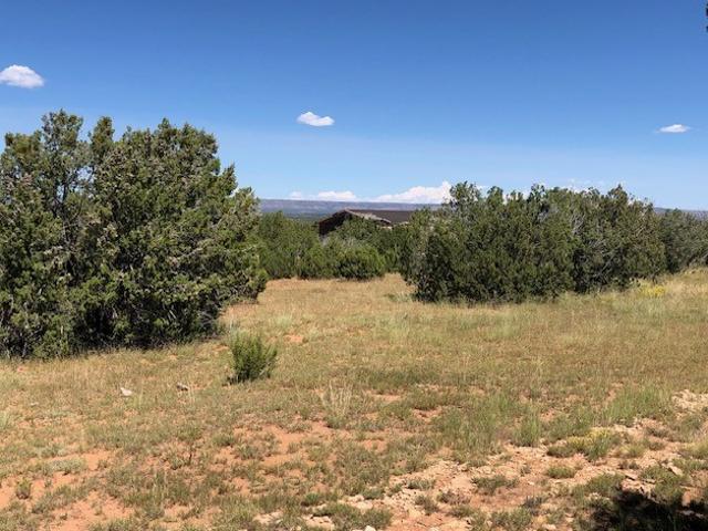 Land for sale in New Mexico