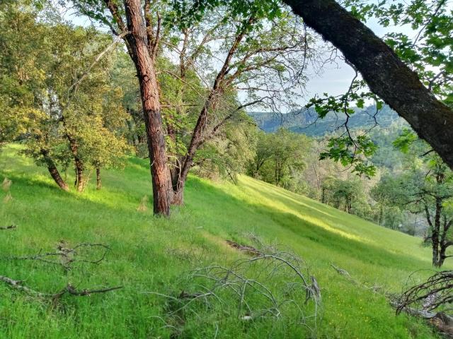 Land for sale in Grass Valley, California