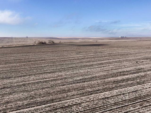 Farm for sale in Iowa