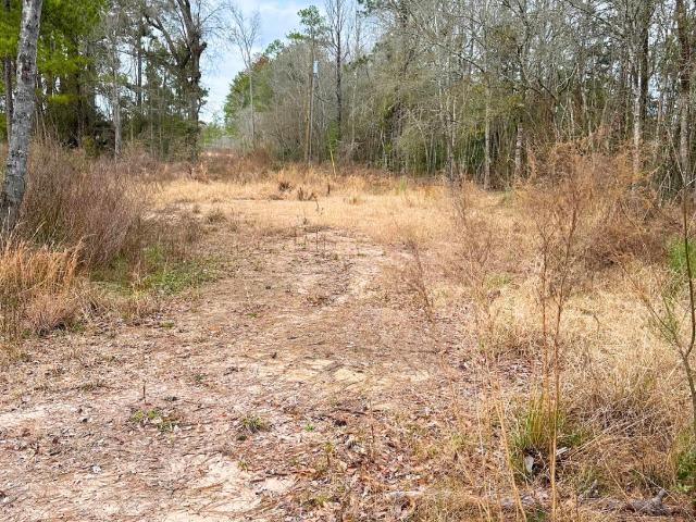 Land for sale in Kountze, Texas
