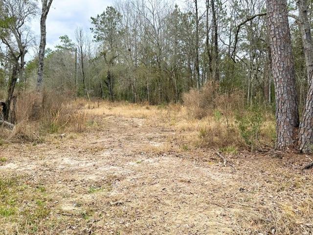 Land for sale in Kountze, Texas