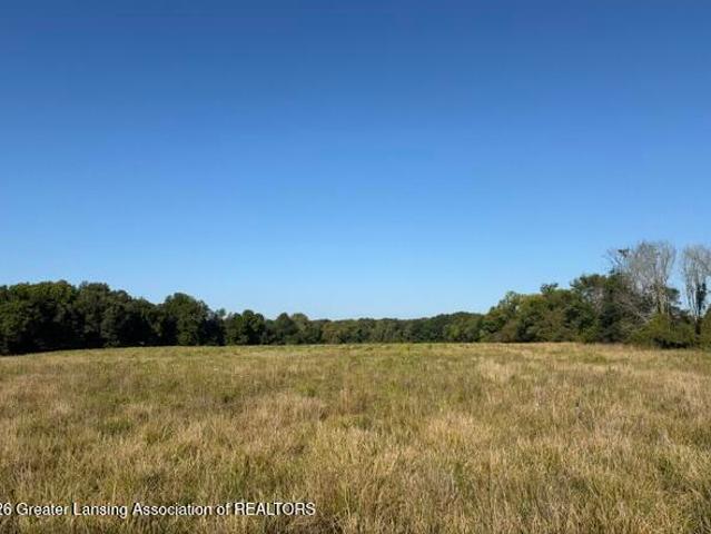 Land for sale in Michigan