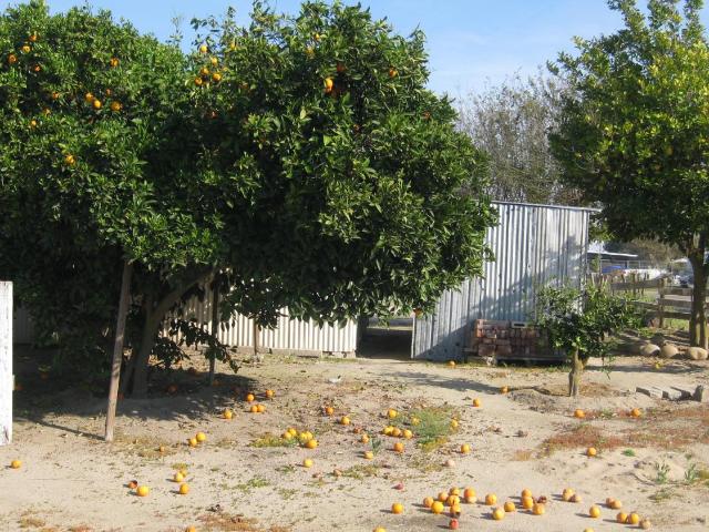 House for sale in Selma, California
